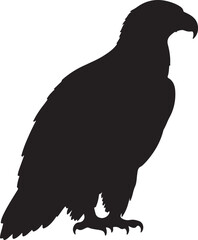 Indian Spotted Eagle Vector Silhouette