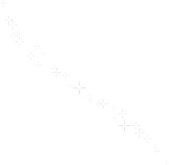 반짝이 꾸밈 트레일