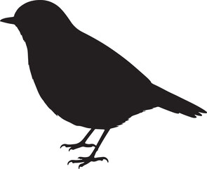 Japanese Robin Vector Silhouette