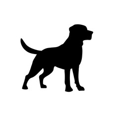 Black dog silhouette