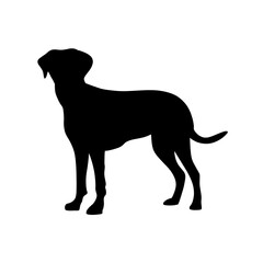 black dog silhouette