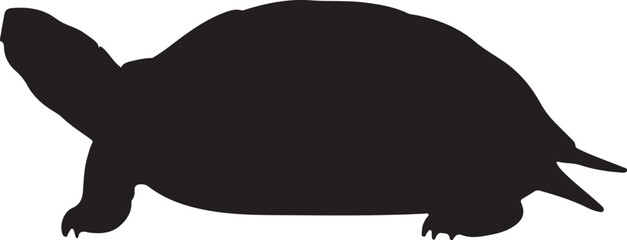 Jicotea Turtle Vector Silhouette