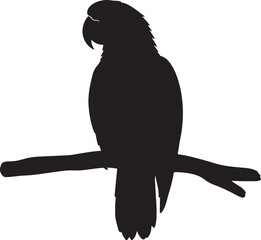 Mealy Amazon Parrot Vector Silhouette