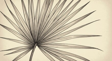 Obraz premium Monochrome Palm Leaf Illustration with Sepia Background