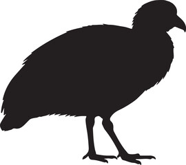 Nicobar Megapode Vector Silhouette