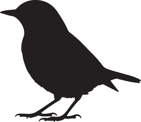 Nightingale Vector Silhouette