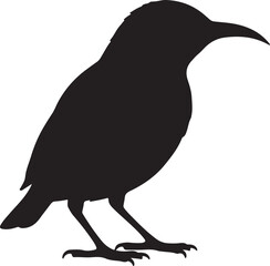 Orange-breasted Sunbird Vector Silhouette