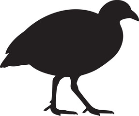 Orange-footed Scrubfowl Vector Silhouette