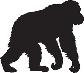 Orangutan Vector Silhouette © Rizwan Ahmad