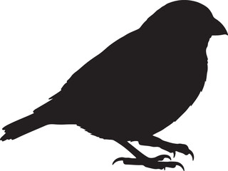 Palm Warbler Vector Silhouette