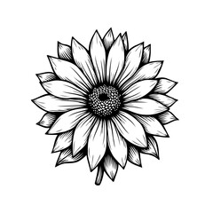 Elegant botanical illustration featuring a stylized sunflower in monochrome format