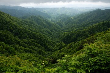 Lush mountain valley vista