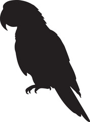 Scarlet Macaw Vector Silhouette