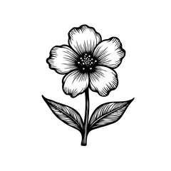 Detailed floral sketch: Elegant botanical illustration in black and white
