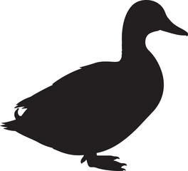 Shelduck Vector Silhouette