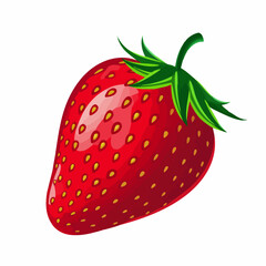 Obraz premium Strawberry Vector Illustration. Vector Image