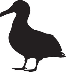 Waved Albatross Vector Silhouette