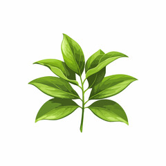 Obraz premium Green Plant Sprig with Multiple Leaves. Vector Image