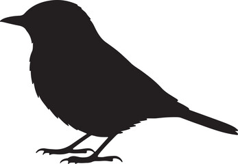 Whinchat Vector Silhouette