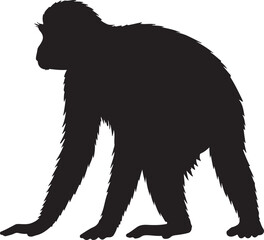 Zanzibar Red Colobus Vector Silhouette