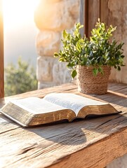 Open bible on wooden surface near window, sunlight and plant