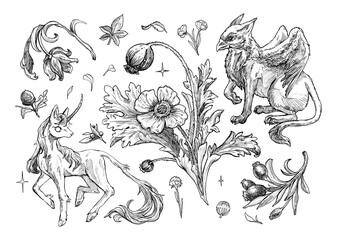 Detailed sketch of a unicorn and griffin surrounded by whimsical flowers and plants on a transparent background