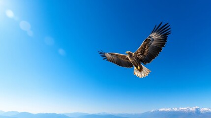Naklejka premium Majestic eagle soaring through brilliant, cloudless, azure sky