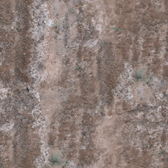 Natural ground texture with autumn leaves scattered on forest floor

