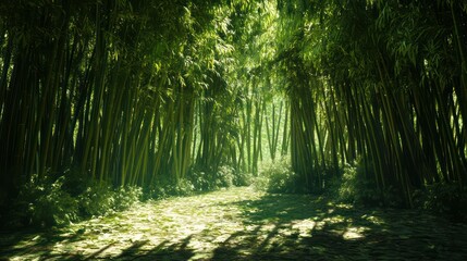 Obraz premium Lush green forest scene with sunlight