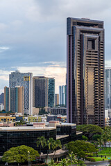 Naklejka premium Modern Skyscrapers in Honolulu, Hawaii Skyline at Dusk with Green Foliage