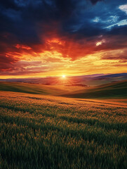 Obraz premium sunset over wheat field Made with generative AI