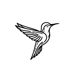 Fototapeta premium Hummingbird with Halo Graceful Bird Illustration