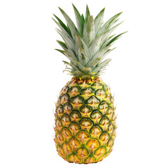 Fototapeta premium Ripe pineapple
