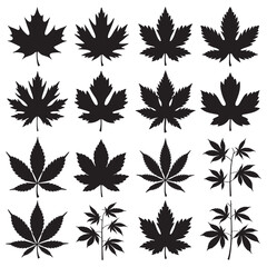 Autumn leaves Silhouette Vector