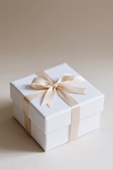 A pristine gift box adorned with a delicate ribbon, perfect for special occasions. The box itself is a simple and elegant, suitable for any event.