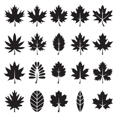 Autumn leaves Silhouette Vector