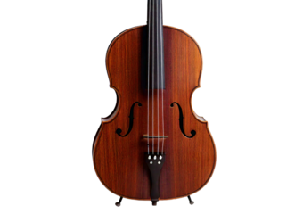 Traditional wooden string instrument with dark brown finish isolated on transparent or white background