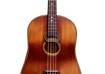 Traditional wooden string instrument with dark brown finish isolated on transparent or white background