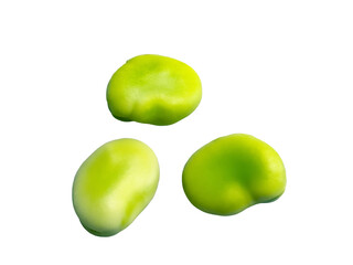 新鮮なそら豆の実アップ画像