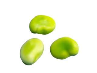 新鮮なそら豆の実アップ画像