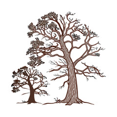 Redwood Reverie Frames-Tree – Handcrafted Tree-Shaped Redwood Photo Frame for Rustic Wall Decor and Nature-Inspired Interiors, tree shaped photo frame, redwood photo frame, rustic tree frame, wooden.