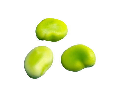 新鮮なそら豆の実アップ画像