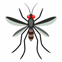 vector illustration of a Mosquito