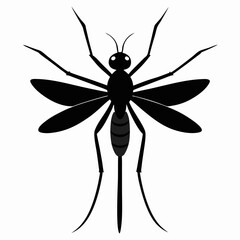 vector illustration of a Mosquito