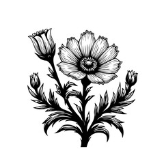 Intricate botanical illustration showcasing an ornate blossom in monochrome detail