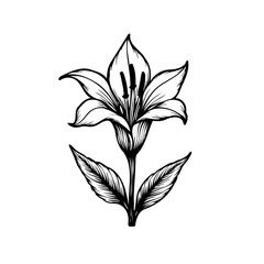 Intricate floral linework depicting stylized blossom with leaves illustration