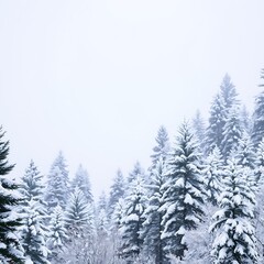 Fototapeta premium Serene Winter Landscape of Snow Covered Evergreen Trees in a Misty Forest