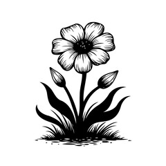 Botanical illustration: Intricate floral depiction featuring blossoming beauty