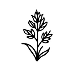 Elegant botanical illustration featuring a stylized plant on a pristine background