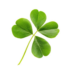 Vibrant Cloverleaf